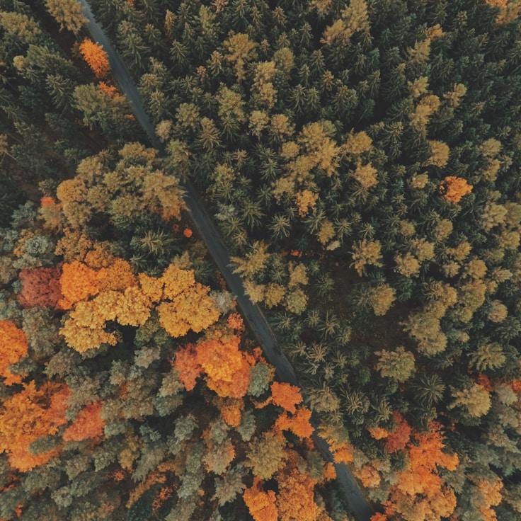 Protected areas overview